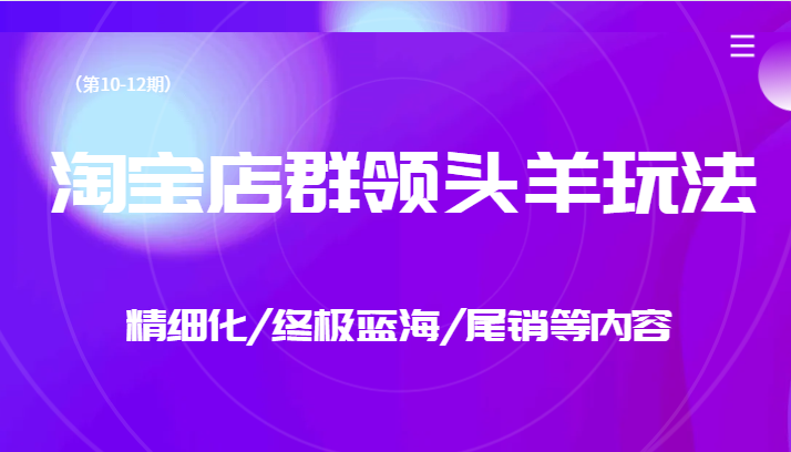 淘宝店群领头羊玩法，精细化/终极蓝海/尾销等内容（第10-12期）