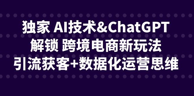 独家 AI技术amp;ChatGPT解锁 跨境电商新玩法，引流获客+数据化运营思维