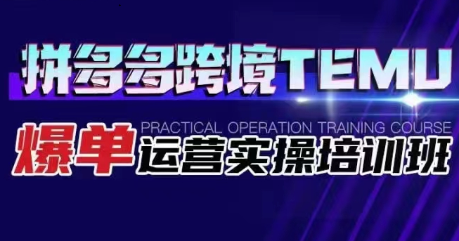 拼多多跨境TEMU爆单运营实操培训班 海外拼多多的选品、运营、爆单